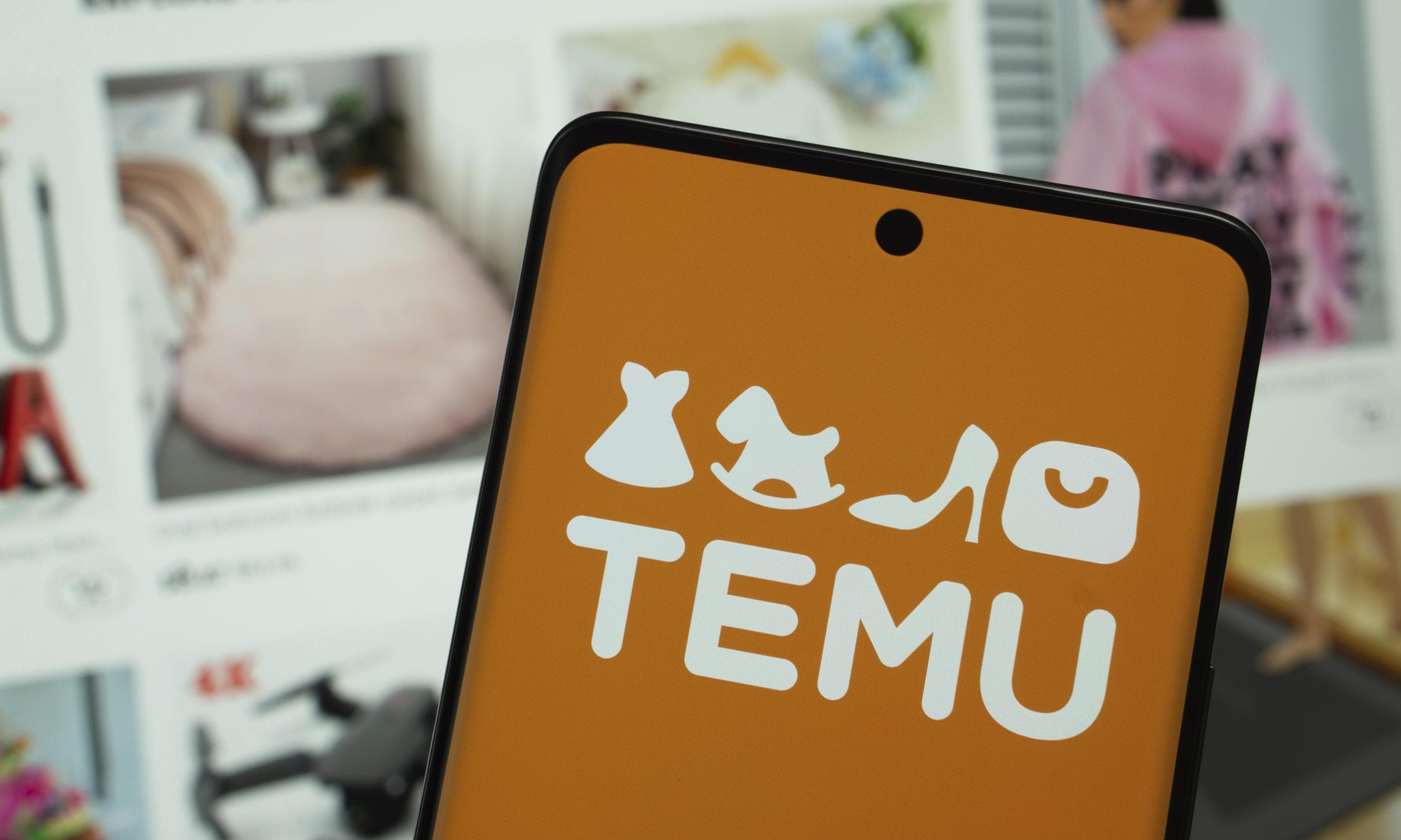 Rekomendacje zakupowe na Temu jako narzędzie wspierające użytkowników aplikacji